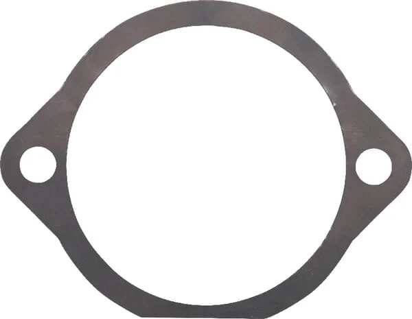 Maschio - M66100126R - Dichtung 0.05mm
