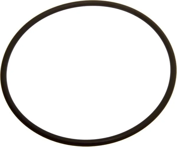 Massey Ferguson AGCO - 152613M1 - Brems-O-Ringe