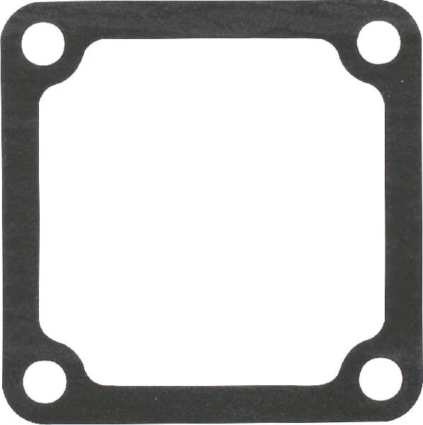 Massey Ferguson AGCO - 3641020M1 - Einlasskrümmerdichtung