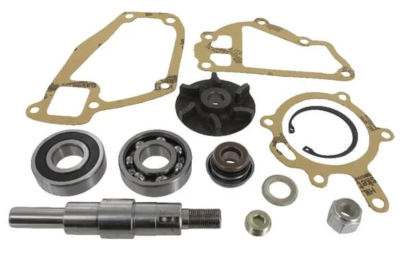 Massey Ferguson AGCO - 3641333M91 - Wasserpumpen Reparatursatz