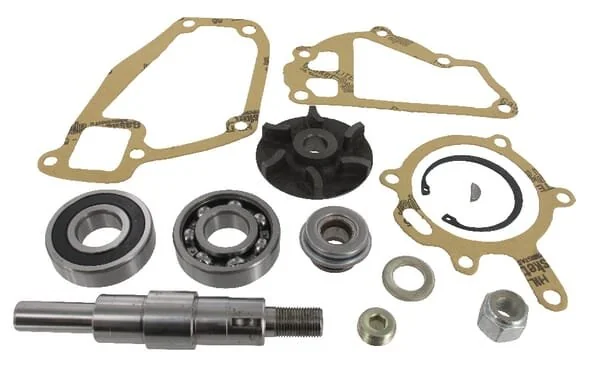 Massey Ferguson AGCO - 3641333M91 - Wasserpumpen Reparatursatz