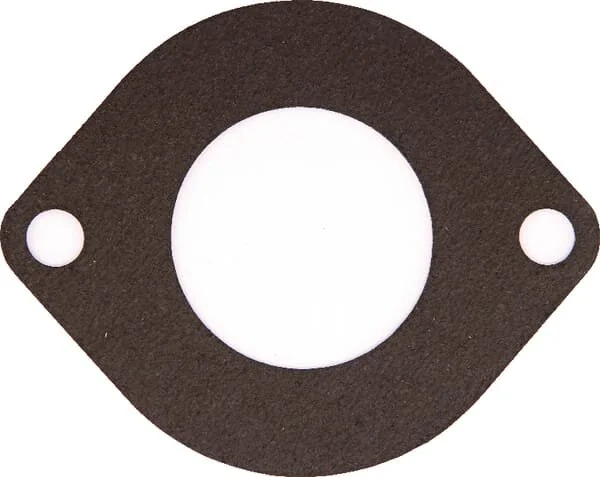 Massey Ferguson AGCO - 3641766M1 - Thermostatdichtung