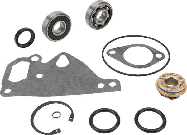 Massey Ferguson AGCO - V836762631 - Wasserpumpen Reparatursatz
