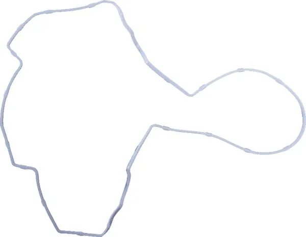 Massey Ferguson AGCO - V837073749 - Kipphebeldeckeldichtung