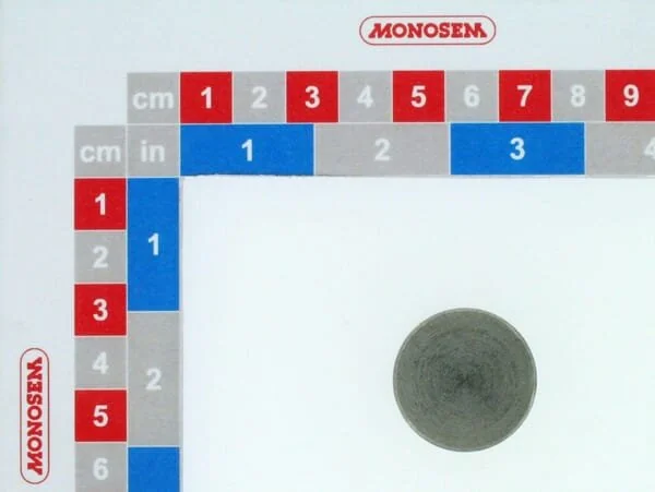 Monosem - 30071043 - Tiefenregelmutter Sc Unit - 11545