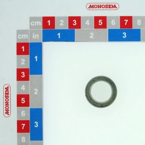 Monosem - 40160101 - Sicherungsring Austauschbare Kettenräder