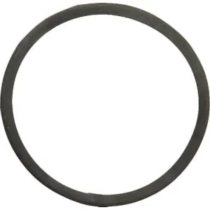New Holland - 130100061002 - Thermostatdichtung