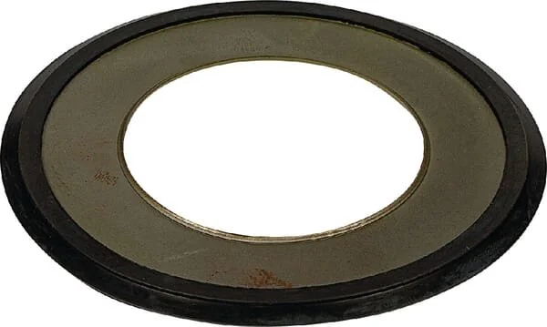 Överum - 41652369300 - Dichtscheibe
