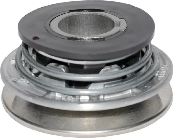 Outils Wolf - 39561OW - Powl Variabler Motor