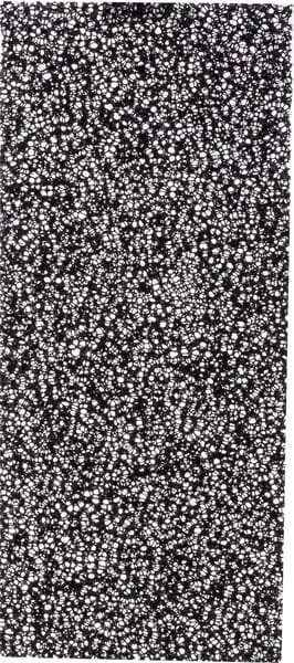Pancl - PV8800 - Kabinenfilter