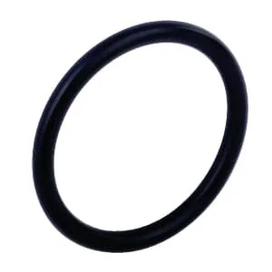 SDF - 215300620 - Dichtring SDF