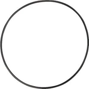 Spicer Dana - 1120700901 - Dichtung