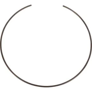 Spicer Dana - 3428523M1N - Sprengring