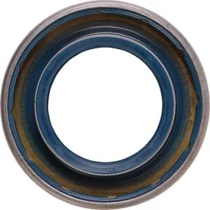 Spicer Dana - 7300104501N - Dichtung