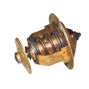 Unbranded - TS1071306100N - Thermostat