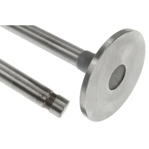 Vapormatic - VPA1560 - Einlassventil (x4)