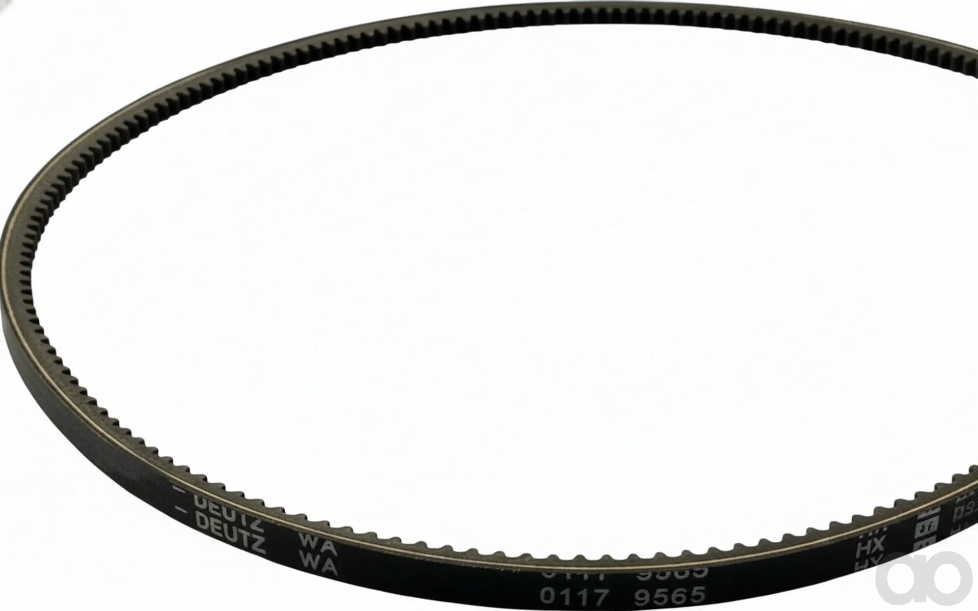 SAME - 01179565 - Riemen