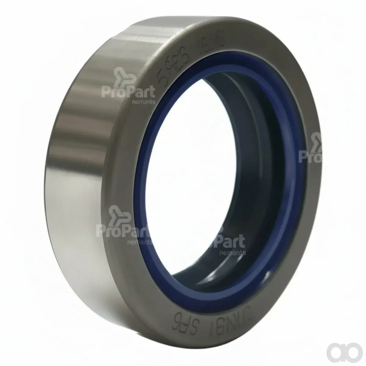 Schlueter - 215291340 - Dichtring