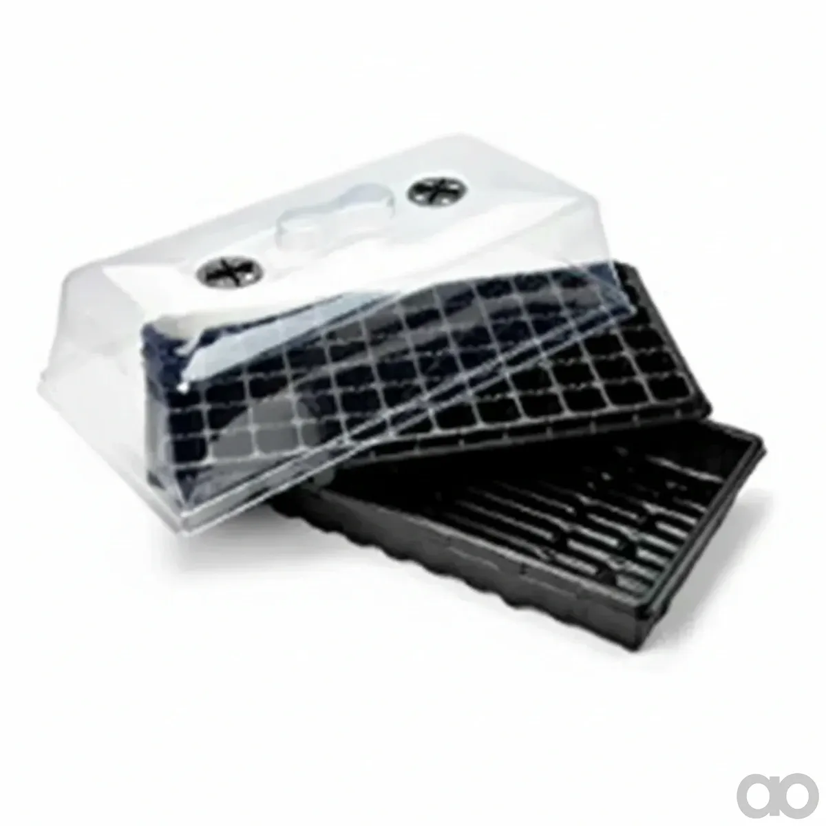 Tsubaki