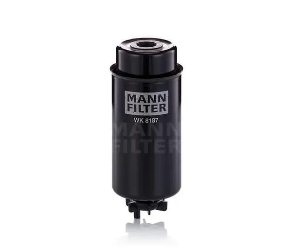 Mann Filter