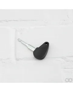 Agria - 50961 - Zuendschluessel F 12971