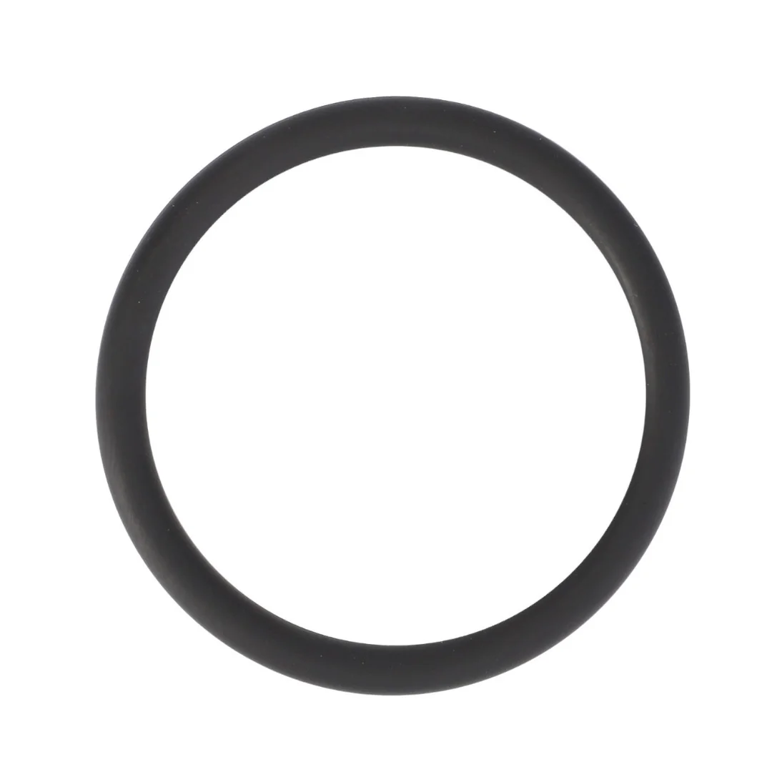 AGCO - F716201510170 - Motor-O-Ring Fendt