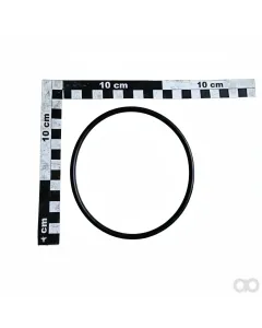Amazone - FC344 - O-Ring 113,66X5,33