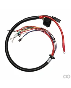 Amazone - NL929 - Kabelb. W1 Ph05 M3 Motor