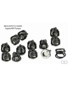 Ar Annovi Reverberi - KIT2114 - Ventilsatz mit O-Ringen