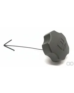 As Motor - E03460 - Spezialschraube