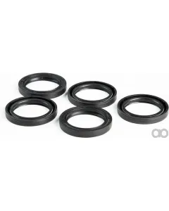 Briggs and Stratton - 4115 - Grosspackung Oeldichtungen 5 x