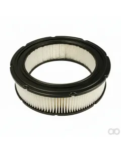 Briggs and Stratton - 4232 - Filterpatroon