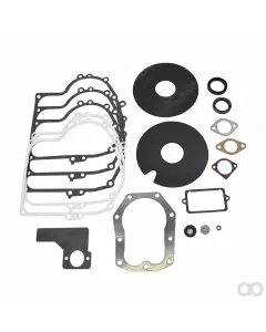 Briggs and Stratton - 492653 - Dichtungssatz