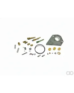 Briggs and Stratton - 499220 - Vergaser-Reparatur