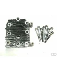 Briggs and Stratton - 590411 - Zylinderkopf