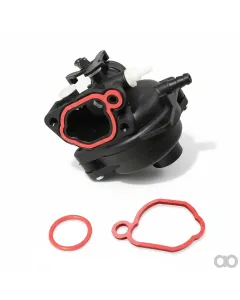 Briggs and Stratton - 595656 - Vergaser