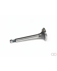Briggs and Stratton - 690429 - Ventil