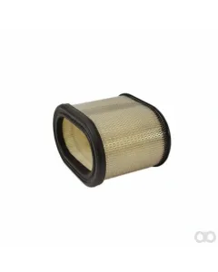 Briggs and Stratton - 695302 - Luftfilter