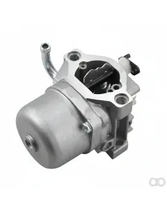 Briggs and Stratton - 794653 - Vergaser