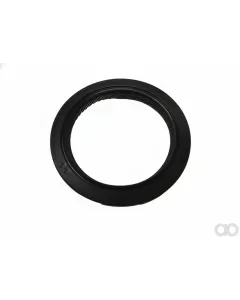 Briggs and Stratton - 802525 - Oeldichtung