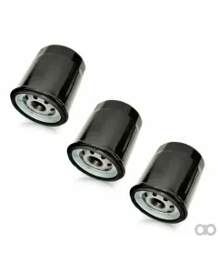 Briggs and Stratton - 820314 - Motoroelfilter Ferrari