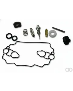 Briggs and Stratton - 842873 - Vergaser-Ueberholungssatz