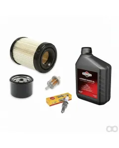Briggs and Stratton - 998103 - Tune-Up-Satz Intek V-Twin