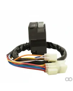 Can Am - 703500920 - Schalter-Satz