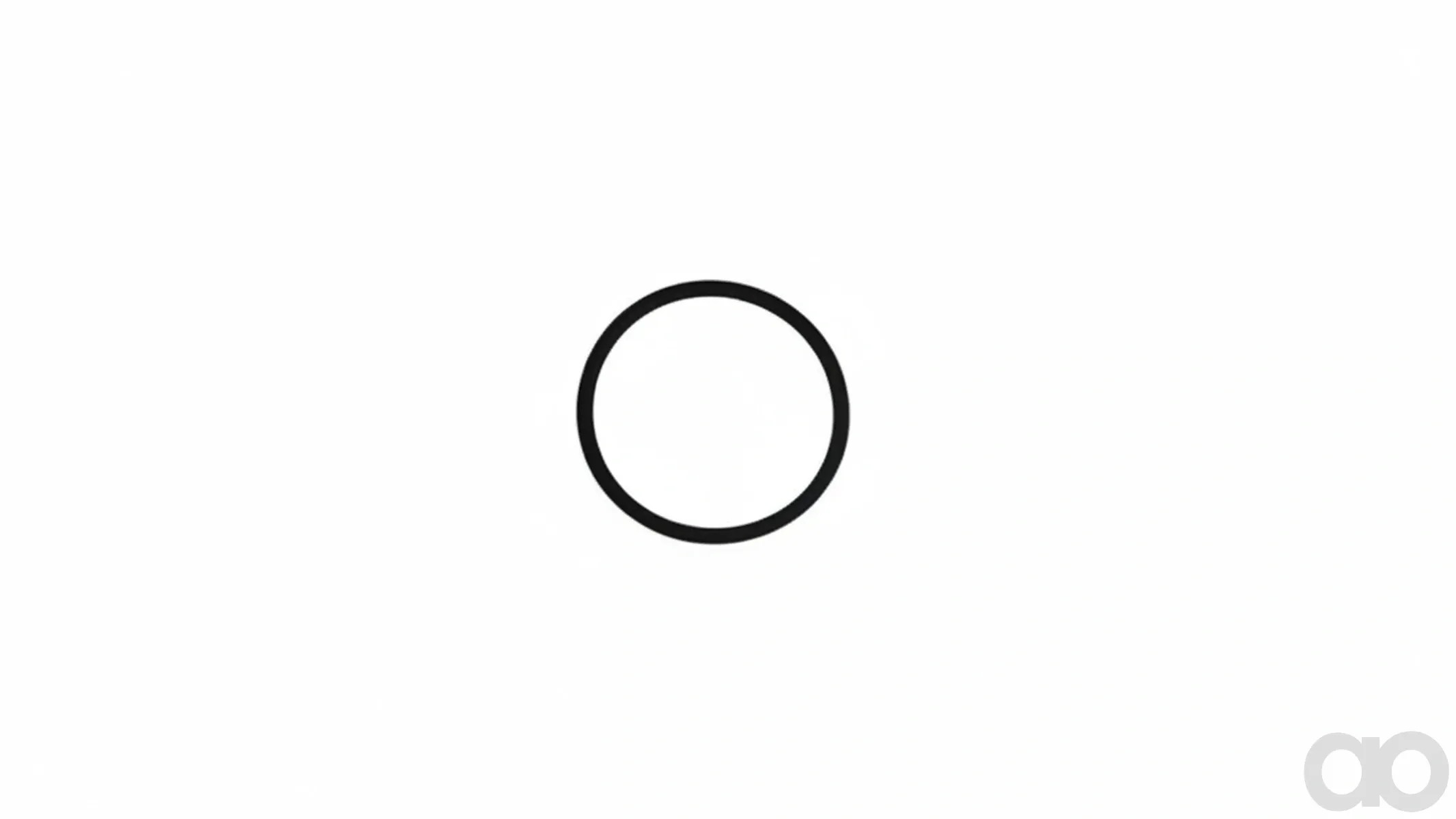 Case IH - 79093822 - O-Ring