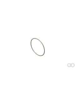 Case IH - 84031760 - O-Ring