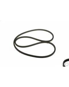 Case IH - 87041779 - V-Belt