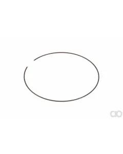 Case IH - 87553899 - Sperrring
