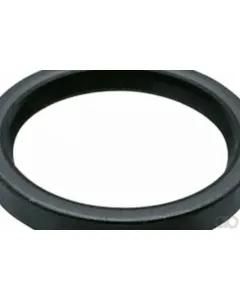 Case IH - 87555979 - Dichtung