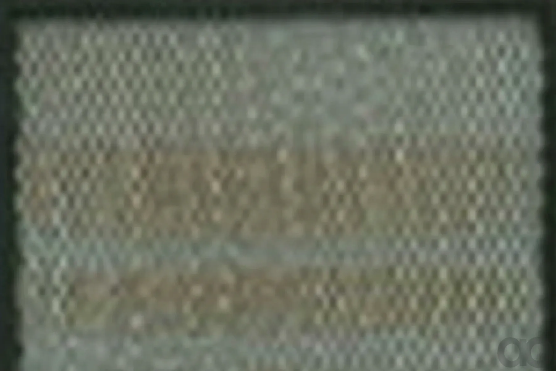 Case IH - AF25227 - Luftfilter